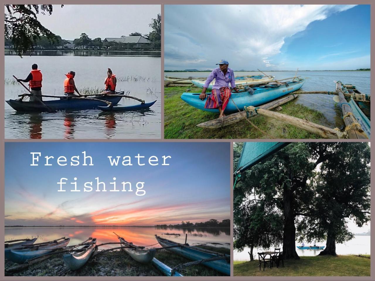 Flameback Eco Lodge Tissamaharama Ngoại thất bức ảnh