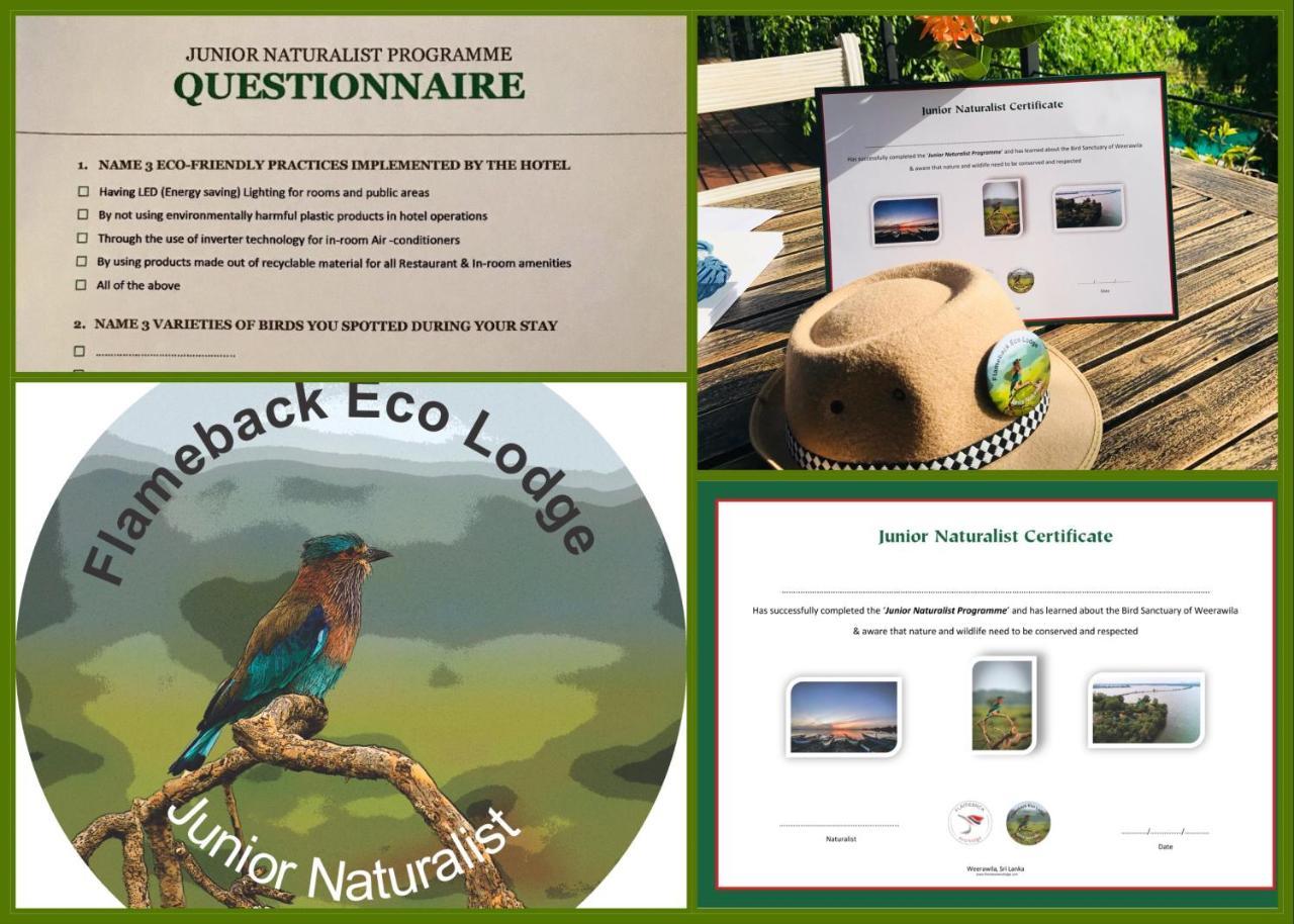 Flameback Eco Lodge Tissamaharama Ngoại thất bức ảnh