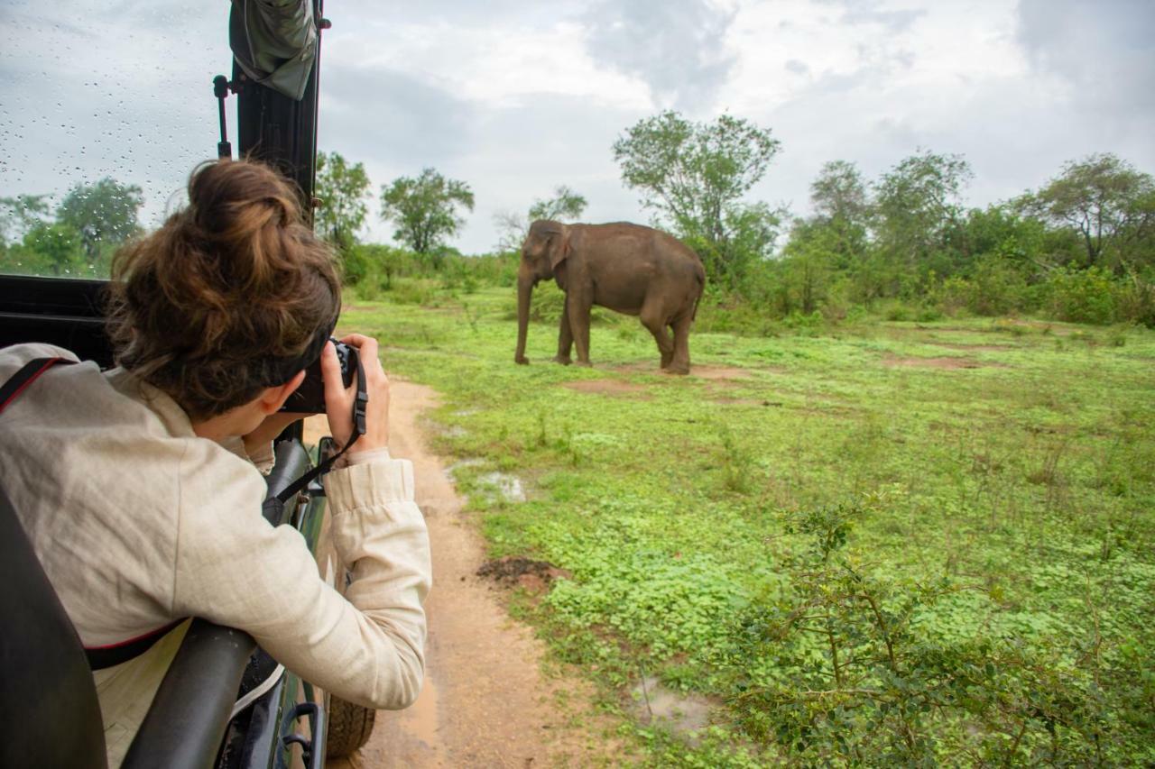 Flameback Eco Lodge Tissamaharama Ngoại thất bức ảnh